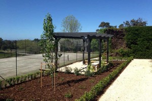 Red Hill Pergola